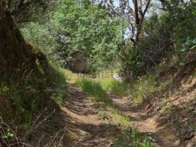 Terreno, Viandar de la Vera