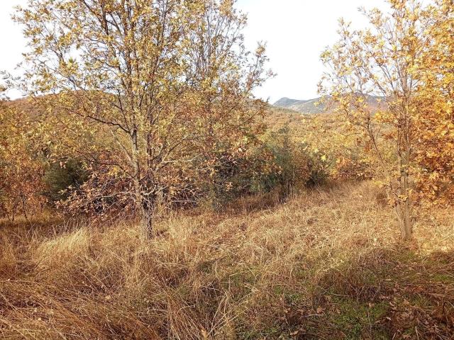 Terreno, Viandar de la Vera
