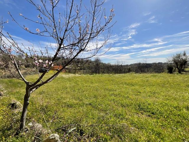 Terreno, Viandar de la Vera