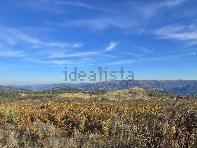Terreno, Viariz
