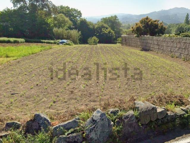 Terreno, Vigo