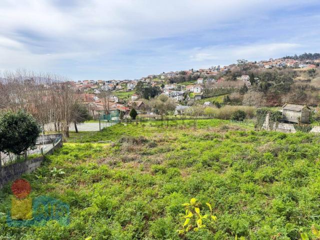 Terreno, Vigo