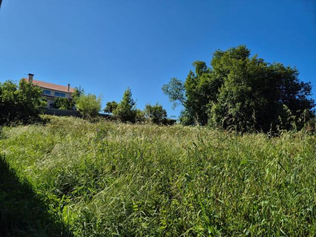 Terreno, Vigo