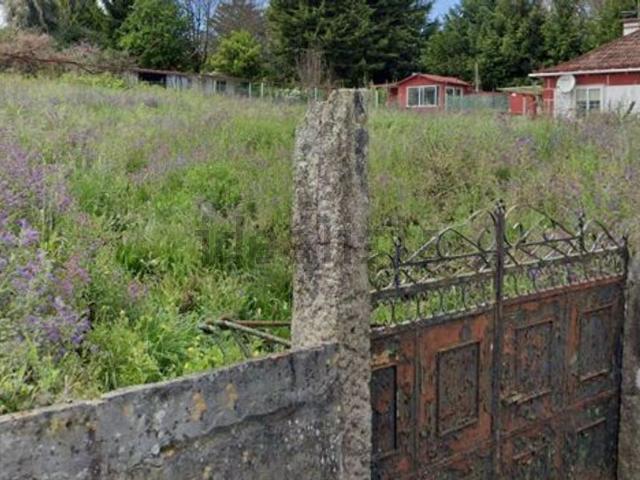Terreno, Vigo