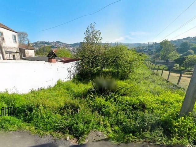 Terreno, Vigo