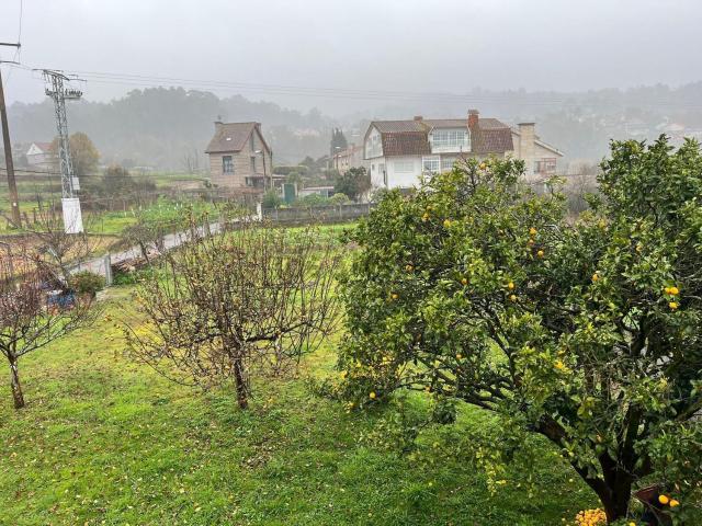 Terreno, Vigo