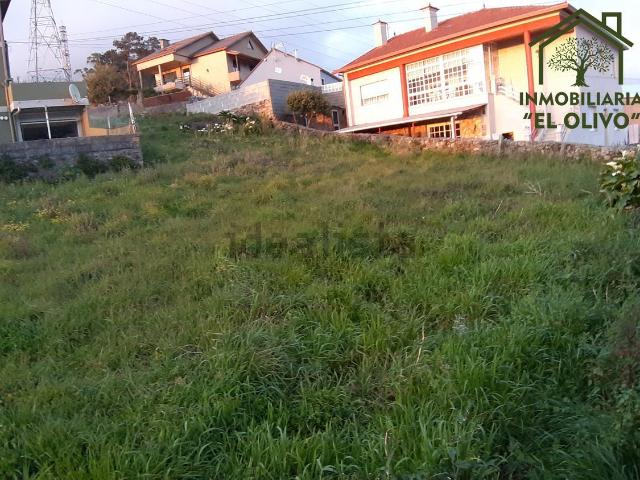 Terreno, Vigo