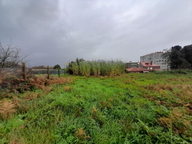 Terreno, Vigo