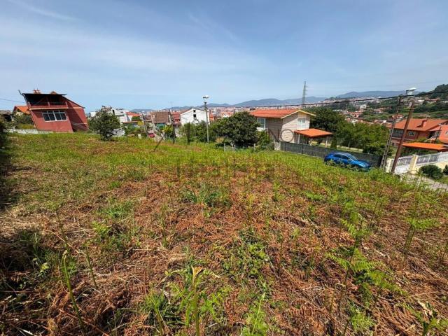 Terreno, Vigo