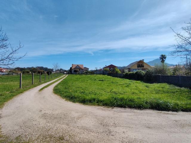 Terreno, Vigo