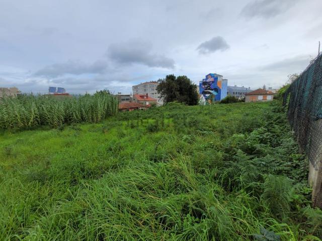 Terreno, Vigo