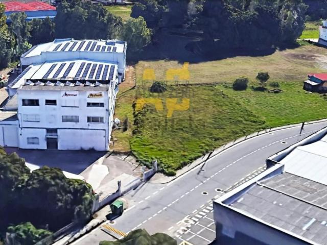 Terreno, Vigo
