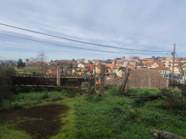 Terreno, Vigo