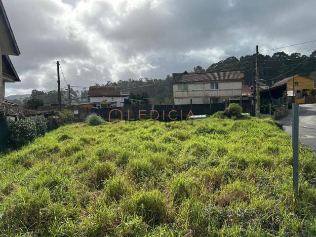 Terreno, Vigo