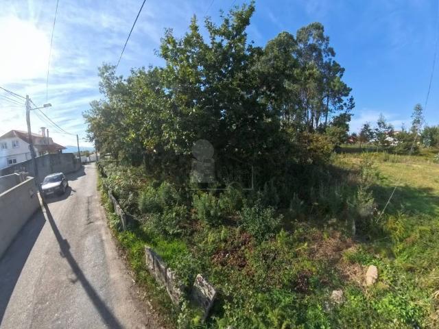Terreno, Vigo