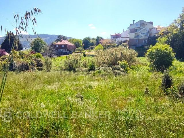 Terreno, Vigo