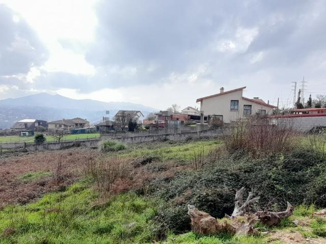 Terreno, Vigo
