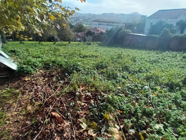 Terreno, Vigo