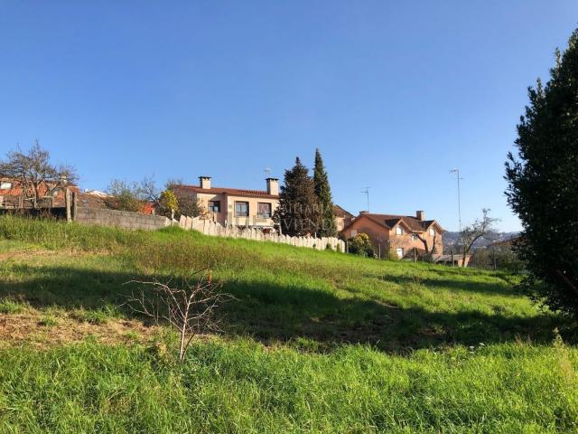 Terreno, Vigo