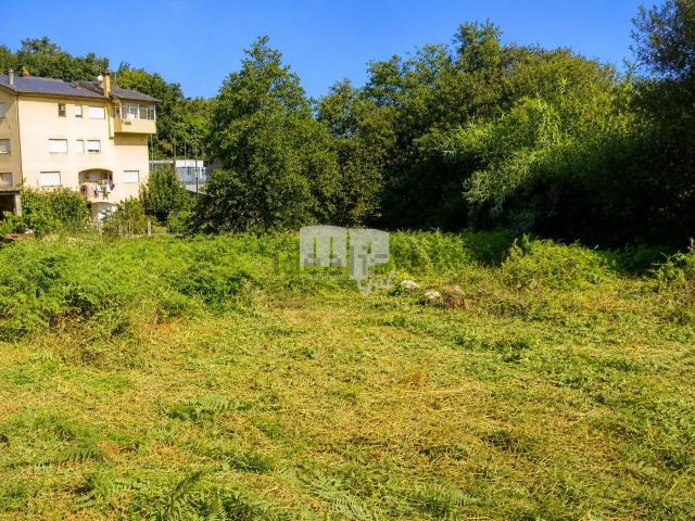 Terreno, Vigo