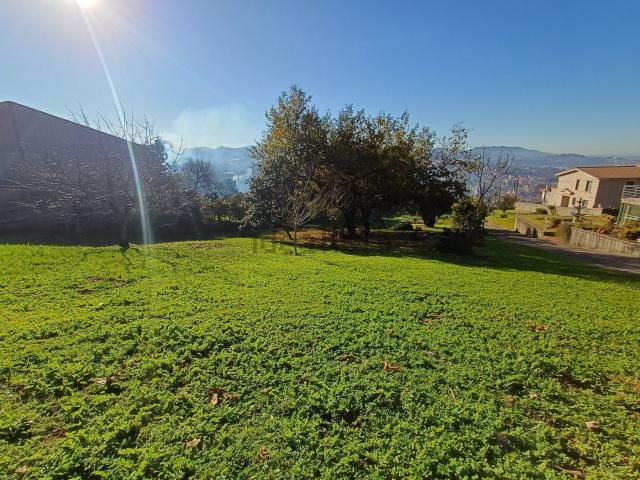 Terreno, Vigo