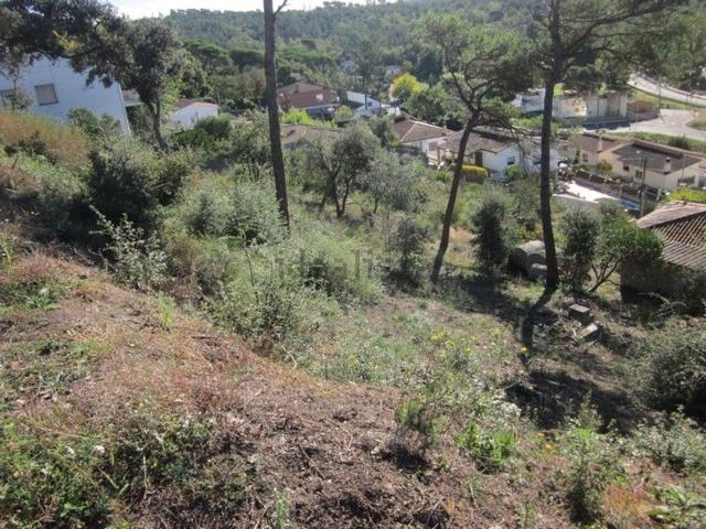 Terreno, Vidreres
