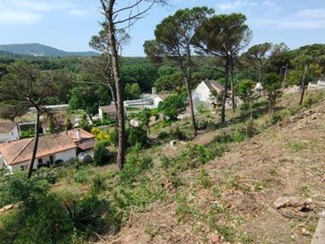 Terreno, Vidreres