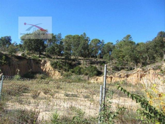 Terreno, Vidreres
