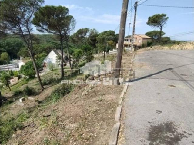 Terreno, Vidreres