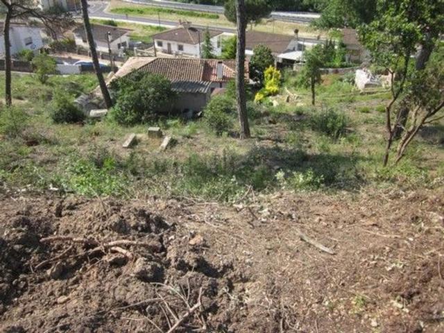 Terreno, Vidreres