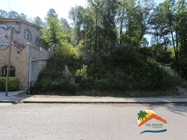 Terreno, Vidreres
