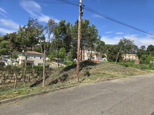 Terreno, Vidreres