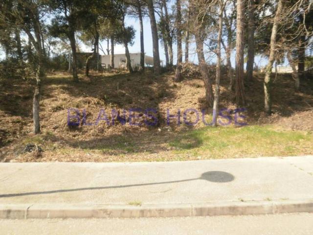 Terreno, Vidreres