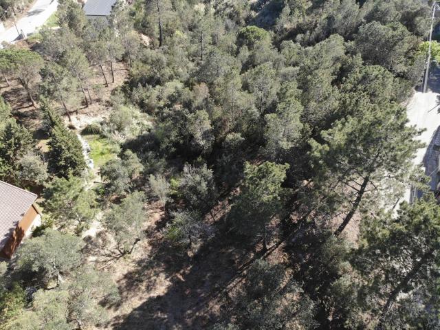Terreno, Vidreres