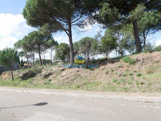 Terreno, Vidreres