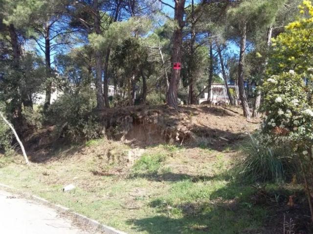 Terreno, Vidreres