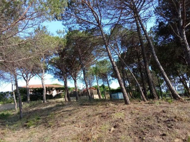 Terreno, Vidreres