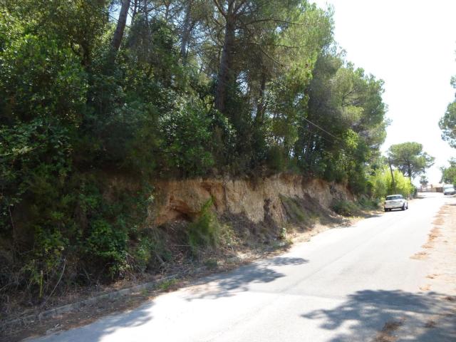 Terreno, Vidreres