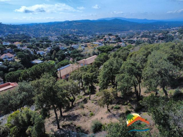 Terreno, Vidreres