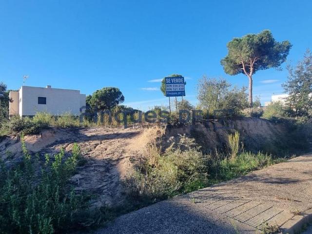 Terreno, Vidreres