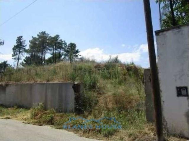 Terreno, Vidreres