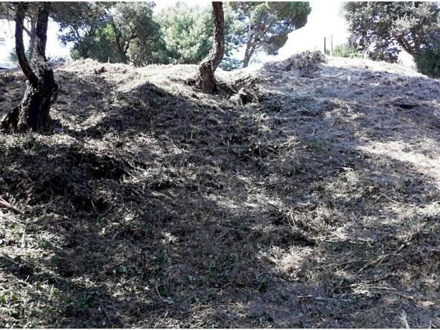 Terreno, Vidreres