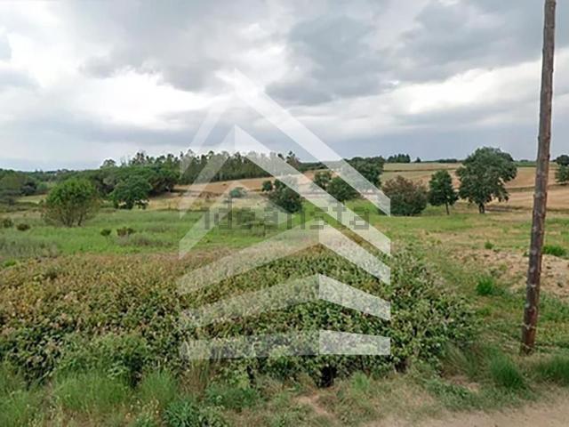 Terreno, Vidreres