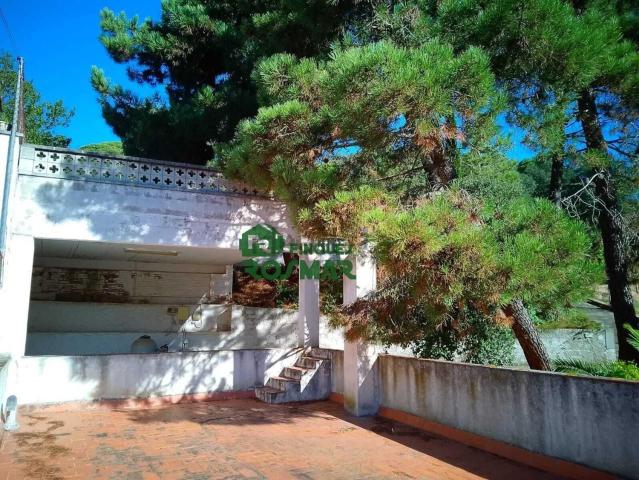 Terreno, Vidreres
