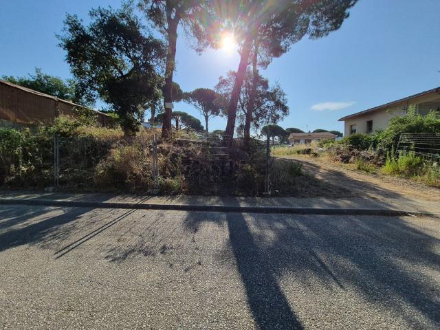 Terreno, Vidreres