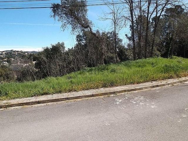 Terreno, Vidreres