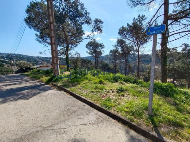 Terreno, Vidreres