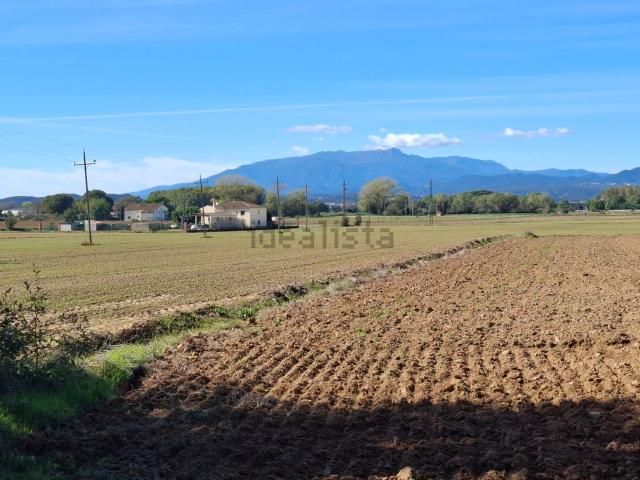 Terreno, Vidreres