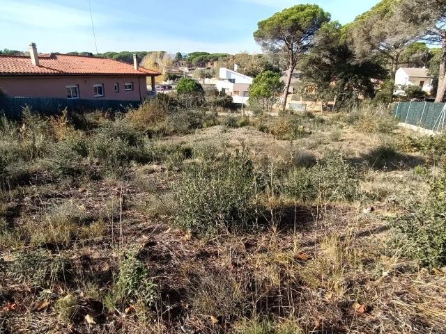 Terreno, Vidreres