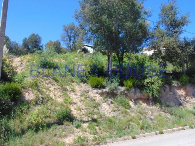 Terreno, Vidreres